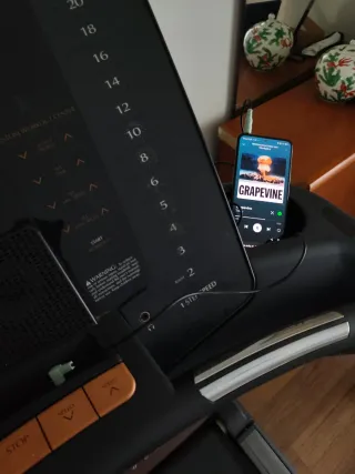 Cinta C. NordicTrack C300