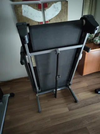 Cinta C. NordicTrack C300