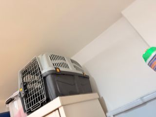 Transportín para mascotas gris y blanco