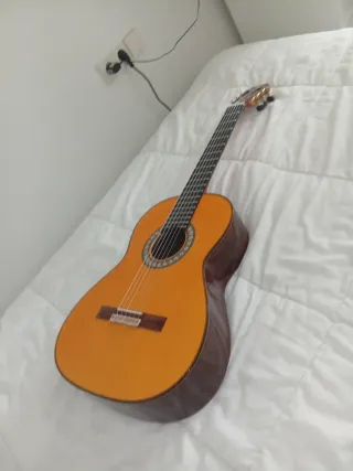 Guitarra Clásica Flamenca