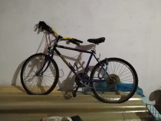Bicicleta Bianchi Rhagodex