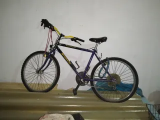 Bicicleta Bianchi Rhagodex
