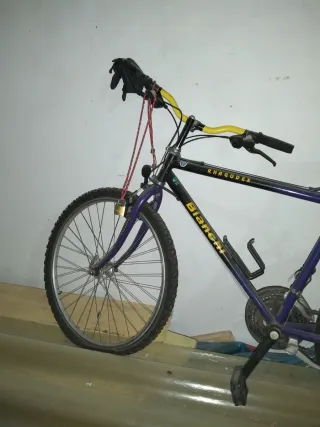 Bicicleta Bianchi Rhagodex