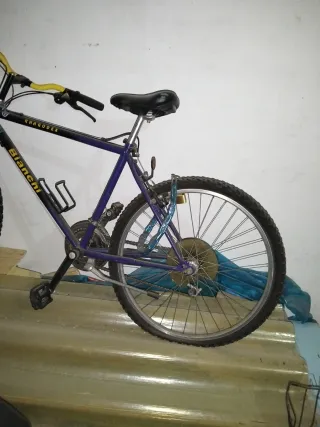 Bicicleta Bianchi Rhagodex