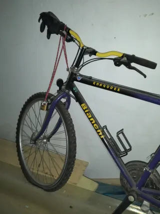 Bicicleta Bianchi Rhagodex