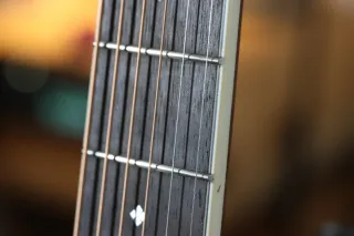 Guitarra Acústica Fender 220E Orchestra Mahogany