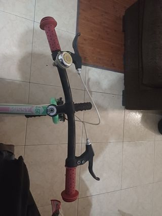 Bicicleta Infantil Spitz Missy 160