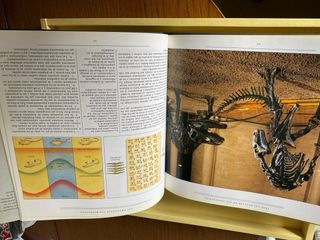 Tras las huellas de los dinosaurios.