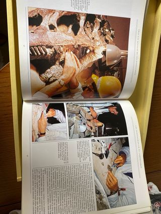 Tras las huellas de los dinosaurios.