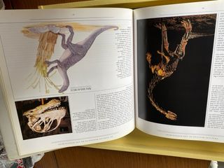 Tras las huellas de los dinosaurios.