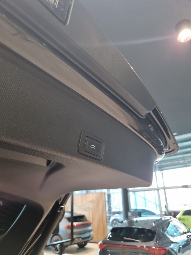 CUPRA TERRAMAR 1.5 ETSI 150 CV DSG-7 ECO 2025