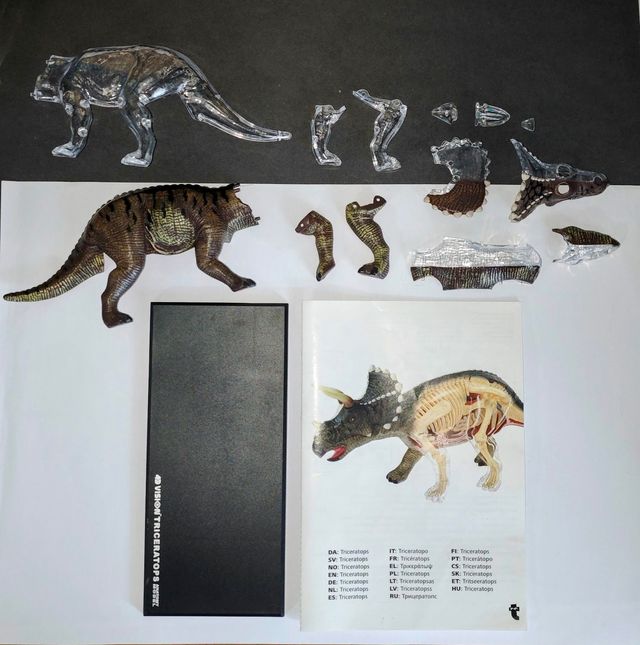 Kit Anatomía Triceratops 3D