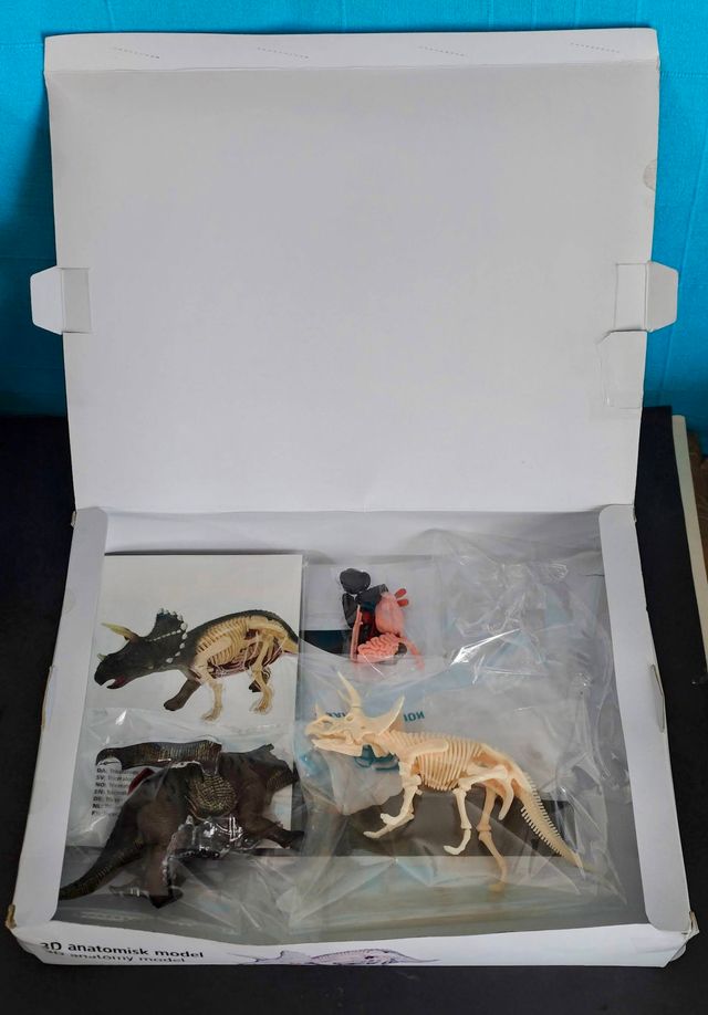 Kit Anatomía Triceratops 3D