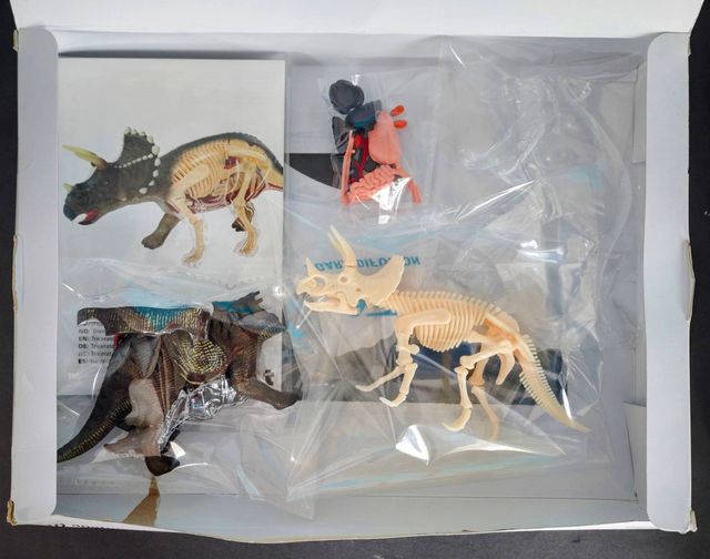 Kit Anatomía Triceratops 3D