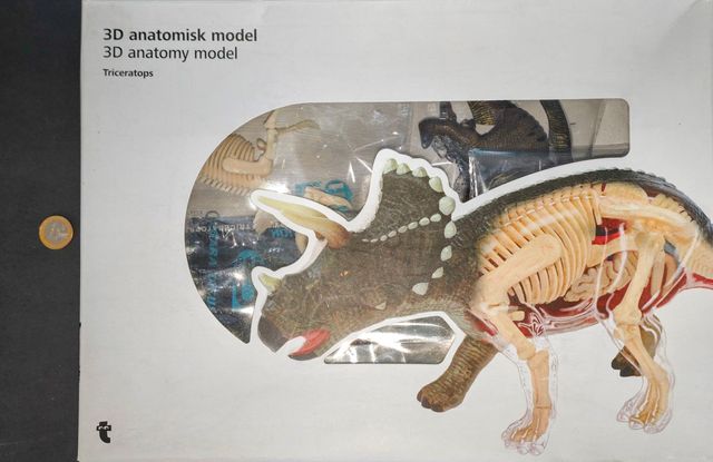 Kit Anatomía Triceratops 3D