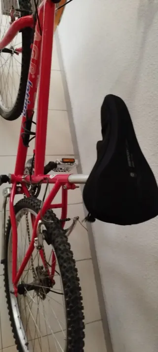 Bicicleta AGR Latino Roja