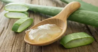 Aloe & Coconut Cream Delight