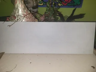 Baldosas Cerámica Saloni, 5 uni.