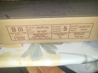 Baldosas Cerámica Saloni, 5 uni.