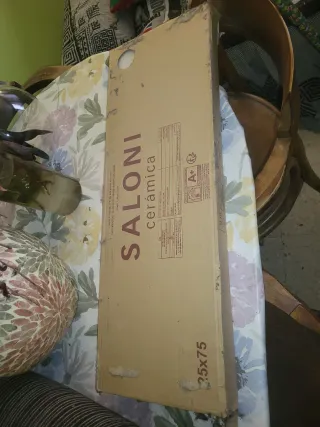 Baldosas Cerámica Saloni, 5 uni.