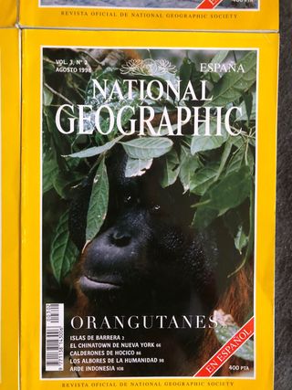 Revistas National Geographic 1998 2 euros ejemplar