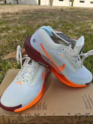 Nike Pegasus Trail 5 GTX Mujer