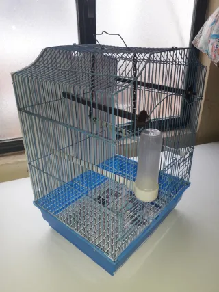 Jaula para pájaros azul