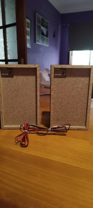 2 Altavoces Panasonic SB-PM02 Negros