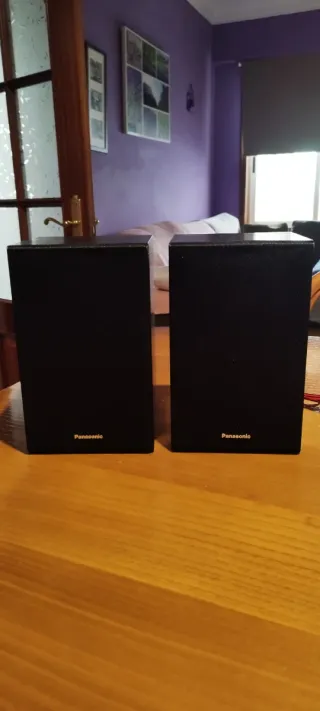 2 Altavoces Panasonic SB-PM02 Negros