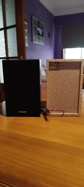 2 Altavoces Panasonic SB-PM02 Negros
