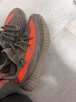 Adidas Yeezy 350 Beluga