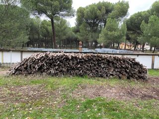 Leña de pino seca y piñas para chimenea