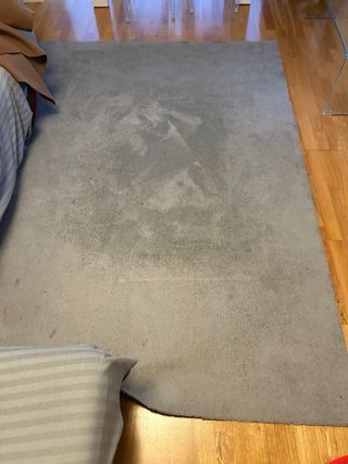 Alfombra gris 240x160