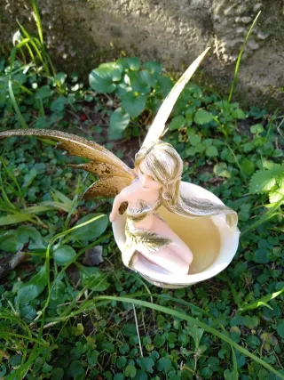 Tazzina Amy Brown oro e rosa