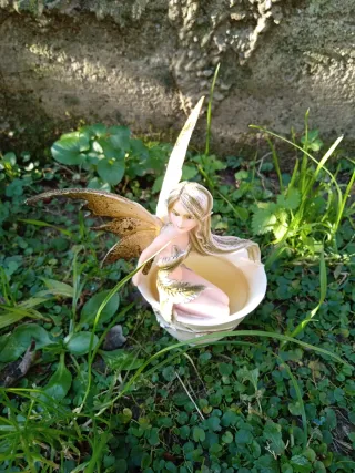 Tazzina Amy Brown oro e rosa