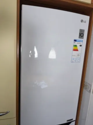 Nevera LG Combi No Frost