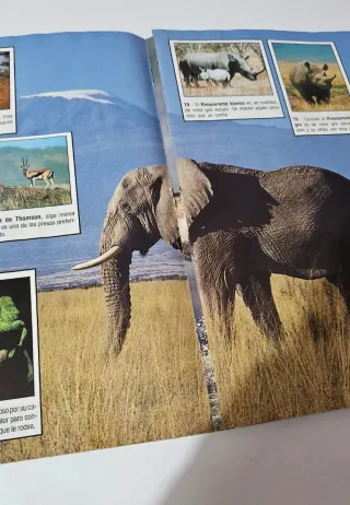 Album Panini Animales del Mundo