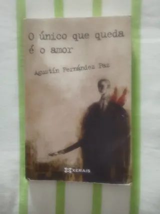 O único que queda é o amor (Spanish Edition)