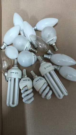 Bombillas E14 Transparentes y Blancas