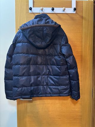 Chaqueta Lion of Porches