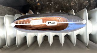 Fiesta: vestido, fajín, zapatos y bolsito