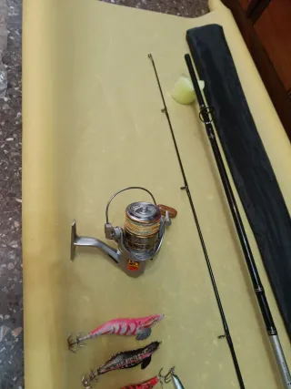 Caña de pesca con carrete y señuelos