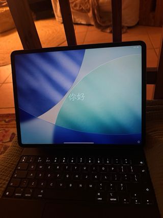 iPad Pro 12.9 256GB Wifi+Cellular Gris