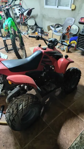 Quad Desert Cat 100