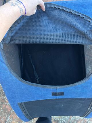 Cochecito para perros azul