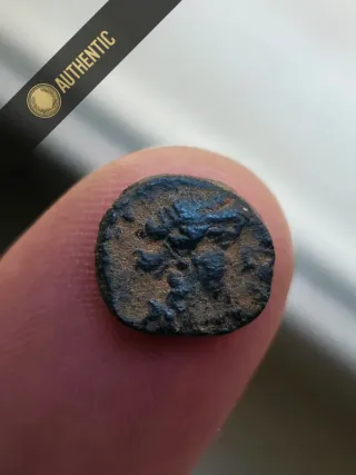 Moneta Romana Nero-(Lecita Provenienza)