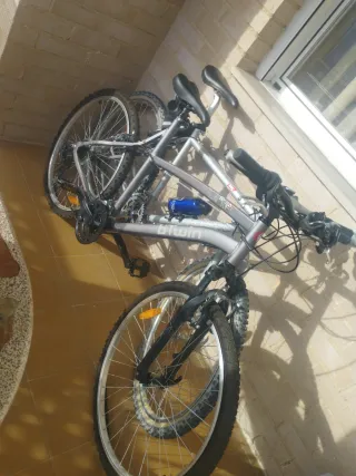 Bicicletas de montaña.
