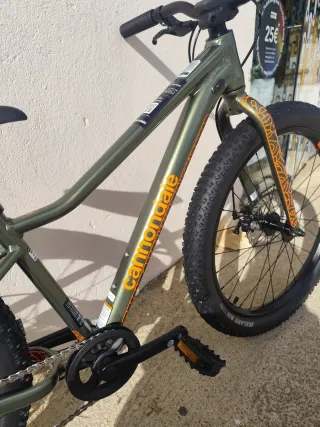 Bicicleta Cannondale Trail Plus 24