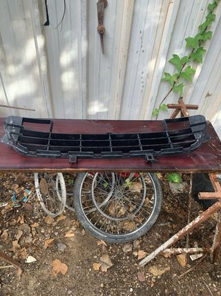 Phiira Rejilla para coche  2010