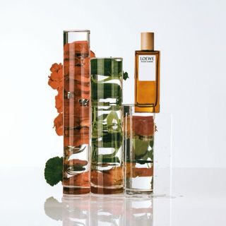 Perfume Loewe Pour Homme 150 ml